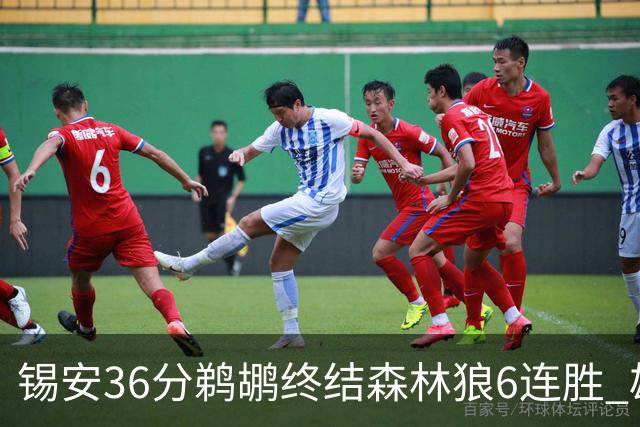 锡安36分鹈鹕终结森林狼6连胜 雄鹿险胜公牛